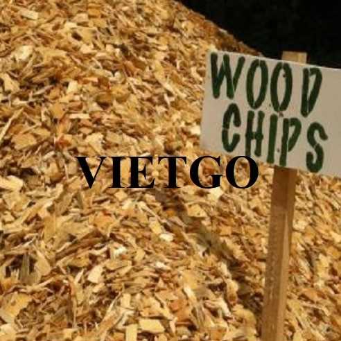 Cơ hội hợp tác xuất khẩu gỗ vụn tới thị trường Trung Quốc