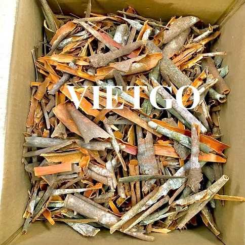 Cơ hội xuất khẩu quế vụn đến thị trường UAE