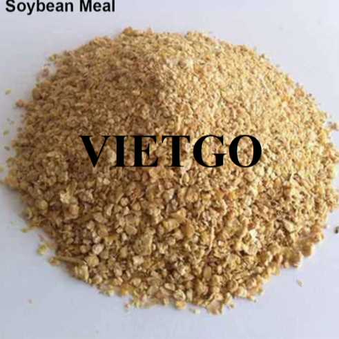 Cơ hội hợp tác xuất khẩu bã đậu nành đến thị trường Yemen  