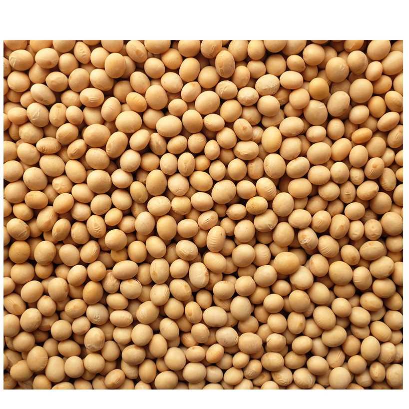 I want to buy soybean 