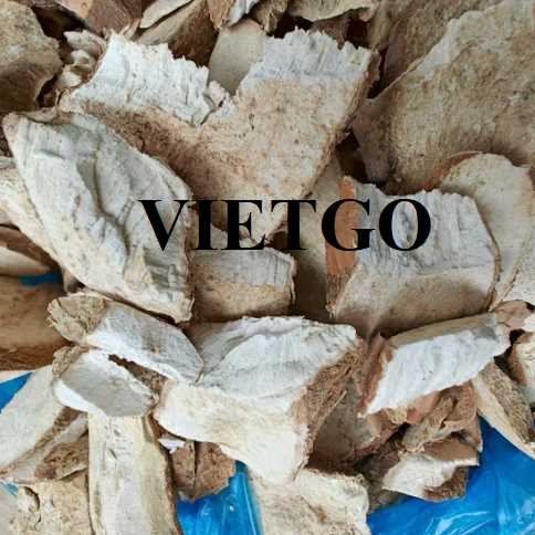 Cơ hội hợp tác xuất khẩu sắn lát đến thị trường Ấn Độ 