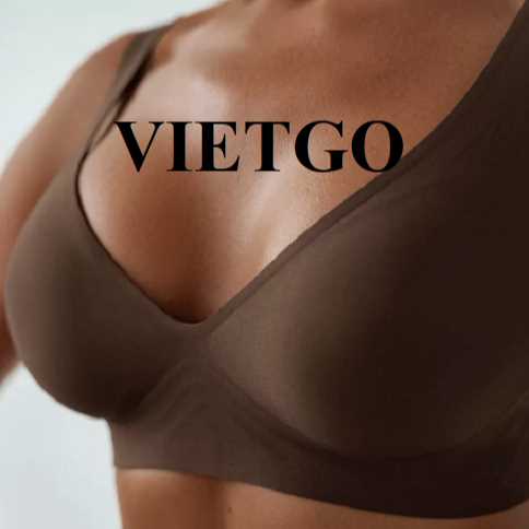 Cơ hội xuất khẩu áo lót nữ sang thị trường Nga