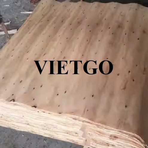 Thương vụ xuất khẩu ván bóc sang thị trường Ấn Độ