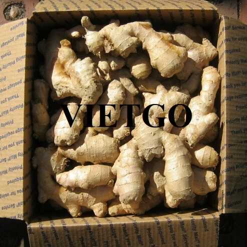 Cơ hội hợp tác xuất khẩu gừng tươi đến thị trường Bangladesh