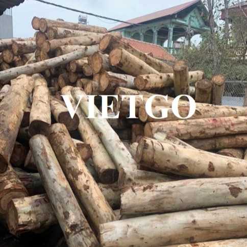 Cơ hội hợp tác xuất khẩu gỗ bạch đàn tròn tới thị trường Ấn Độ