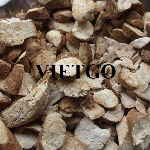 Cơ hội hợp tác xuất khẩu sắn lát sang thị trường Trung Quốc
