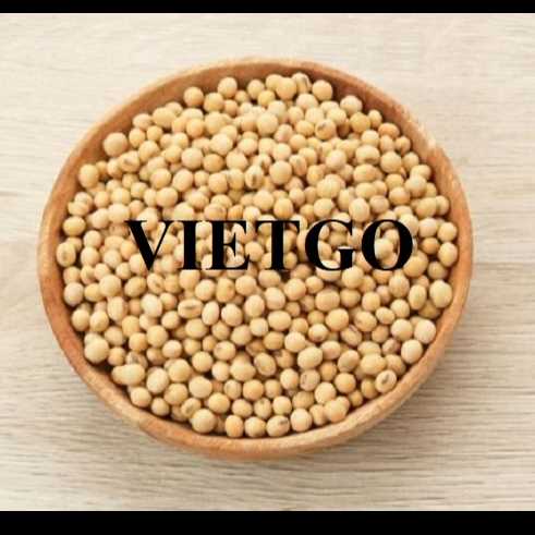 Cơ hội xuất khẩu đậu nành sang thị trường Hàn Quốc
