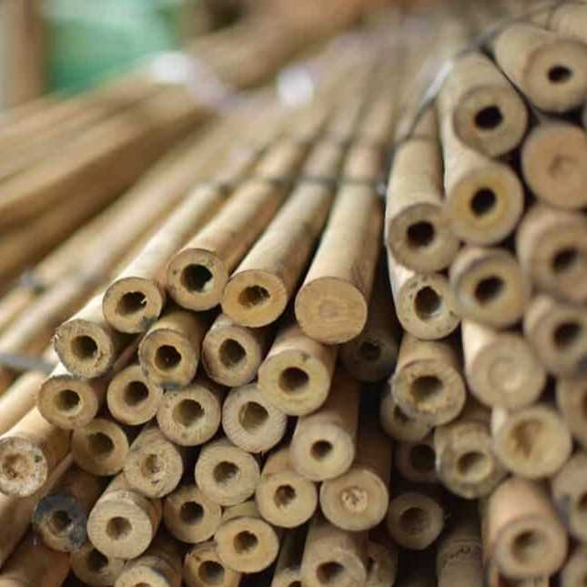 i' m looking for bamboo pole