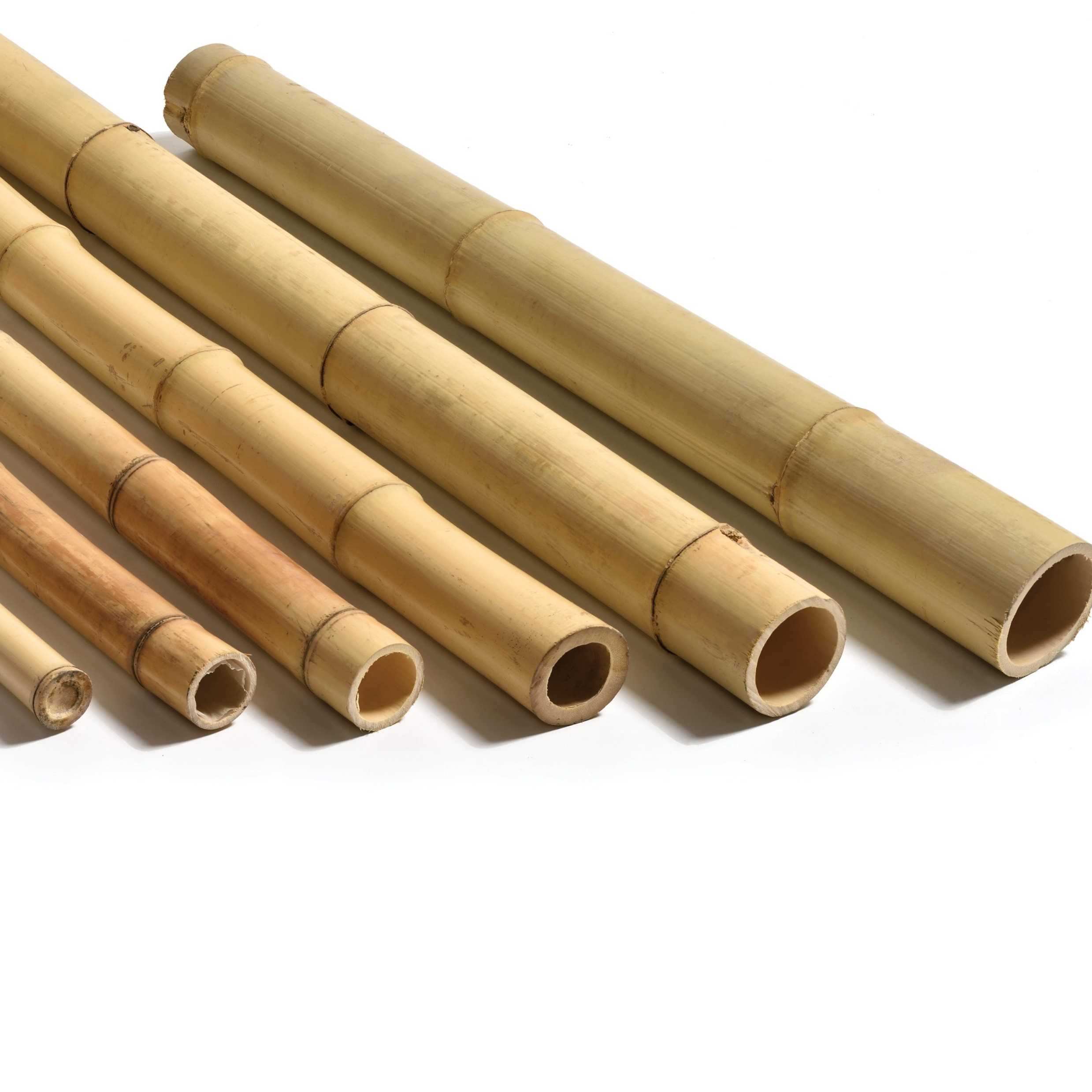 i want to buy bamboo pole