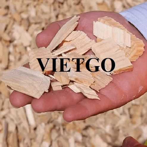Thương vụ xuất khẩu gỗ vụn sang thị trường Thổ Nhĩ Kỳ