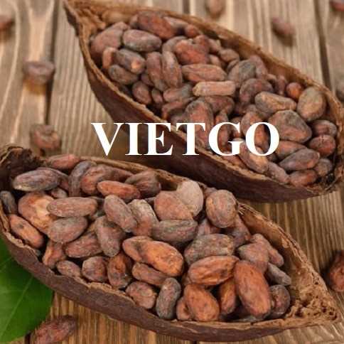 Cơ hội hợp tác xuất khẩu hạt ca cao đến thị trường Indonesia