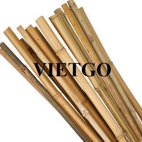 Cơ hội xuất khẩu gậy tre sang thị trường Thổ Nhĩ Kỳ