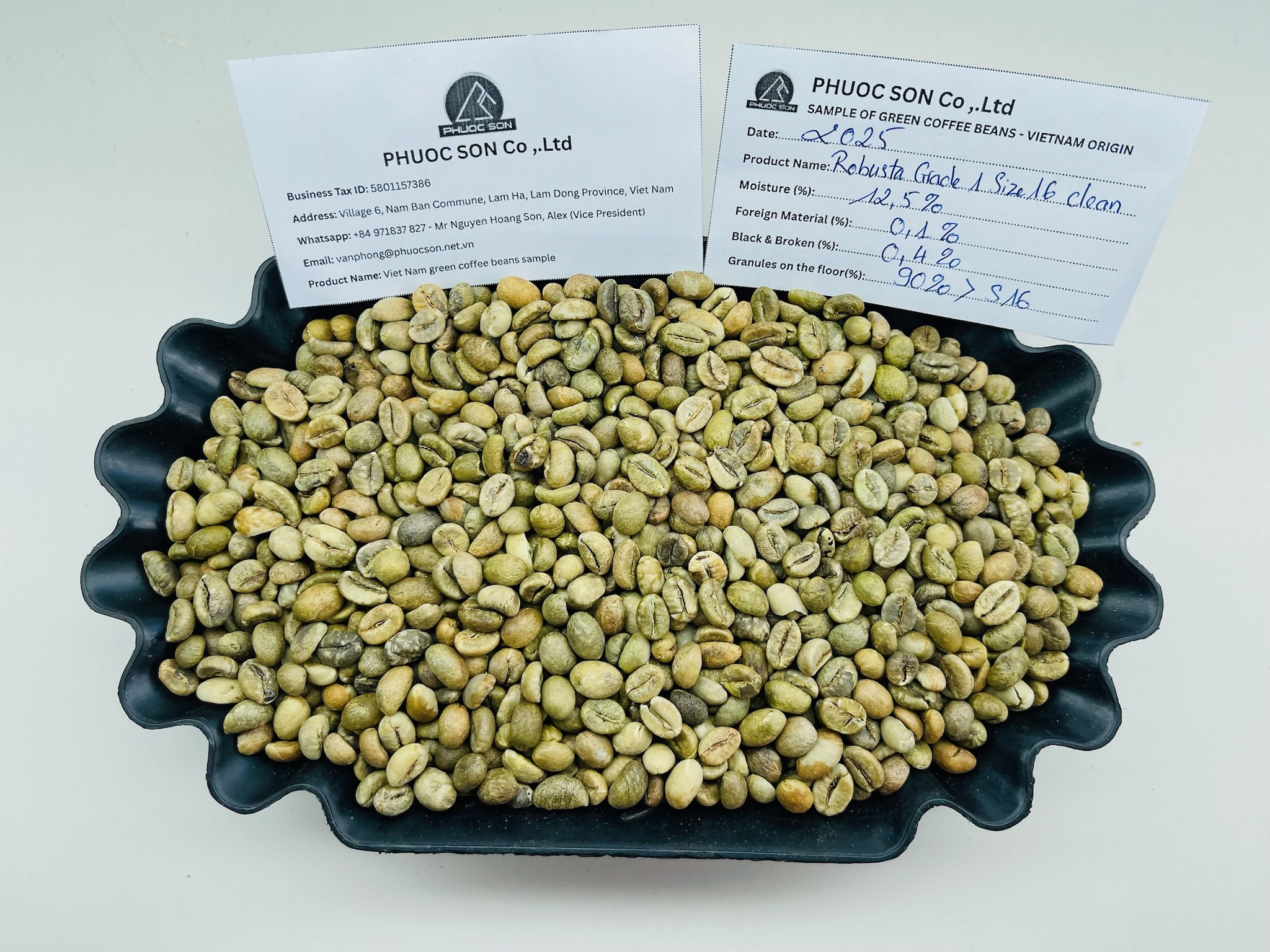 Robusta Grade 1 - R16 Clean 0.1% Black, 0.3% Broken