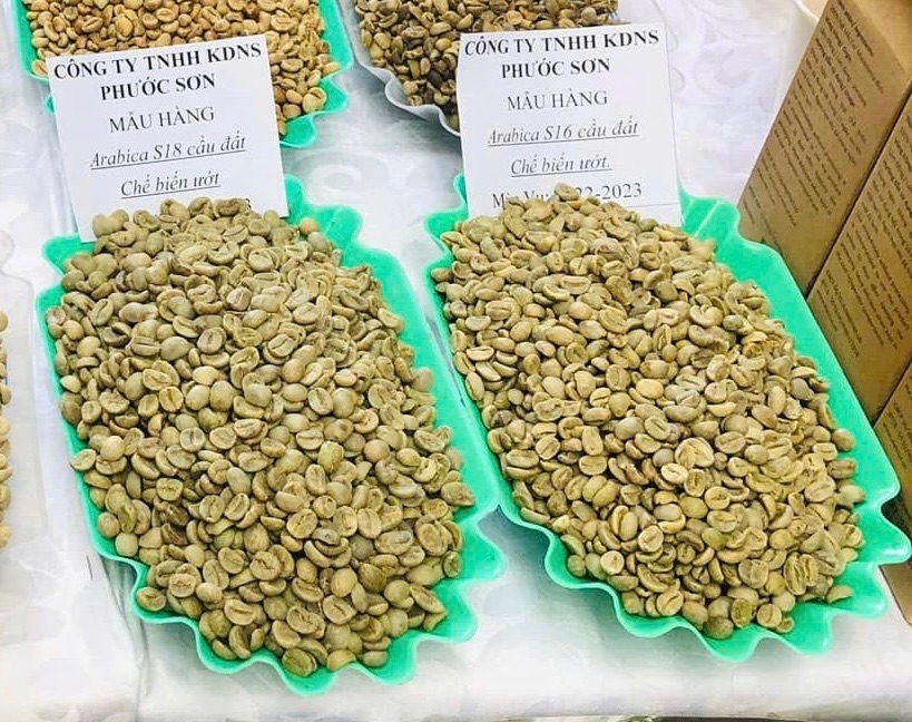Vietnam Wet Processed Arabica Green Coffee (Fully Washed) – Grade 1 (S16, S18)