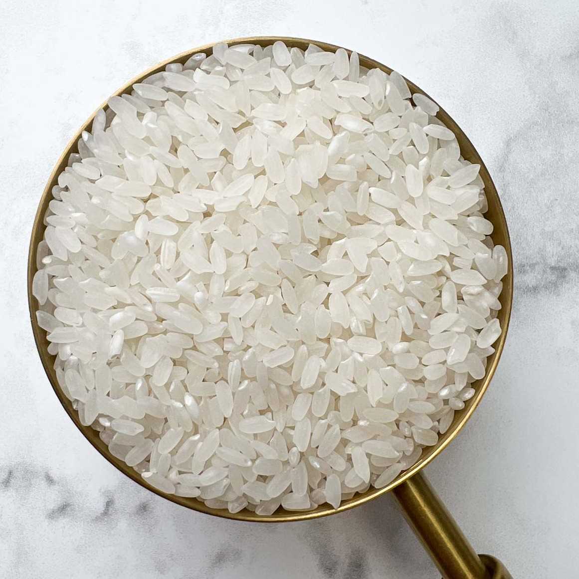 we are looking for 5% Broken medium size camolino rice