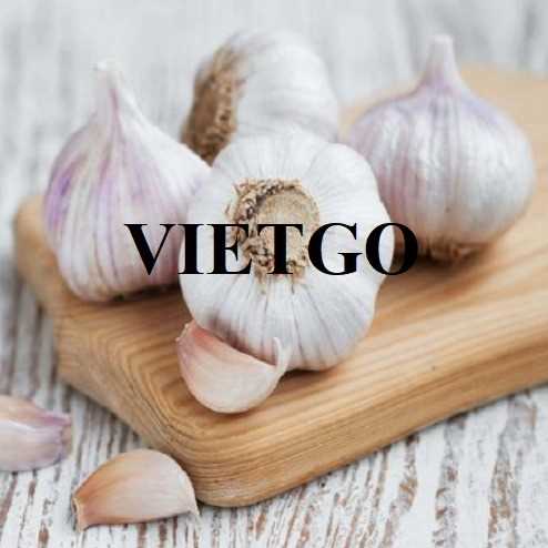 Cơ hội xuất khẩu tỏi đến thị trường Thái Lan