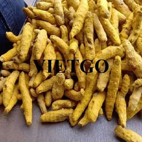 Cơ hội hợp tác xuất khẩu nghệ khô đến thị trường UAE