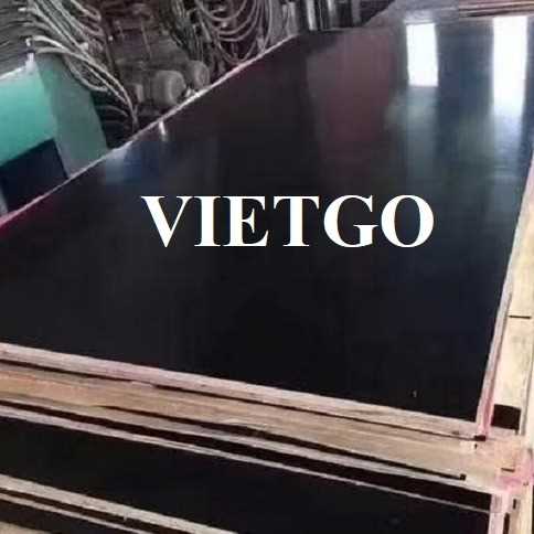 Thương vụ xuất khẩu gỗ dán phủ phim sang thị trường Thổ Nhĩ Kỳ  