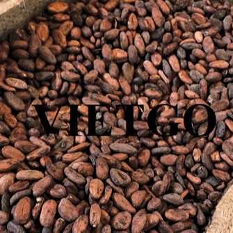Cơ hội xuất khẩu hạt ca cao về thị trường Trung Quốc