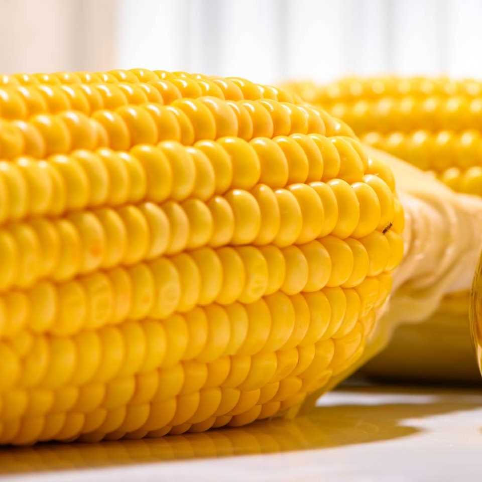 I want to buy corn