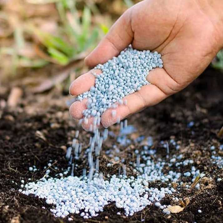 I want to buy NPK fertilizer 26.5.5 to Kenya