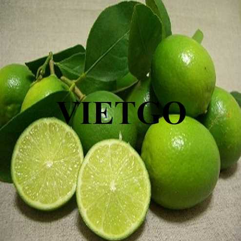 Cơ hội hợp tác xuất khẩu chanh đến thị trường Ả Rập Xê Út