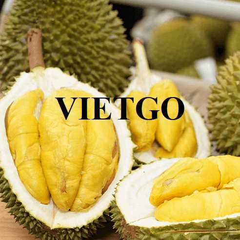 Cơ hội hợp tác xuất khẩu sầu riêng đến thị trường Ả Rập Xê Út