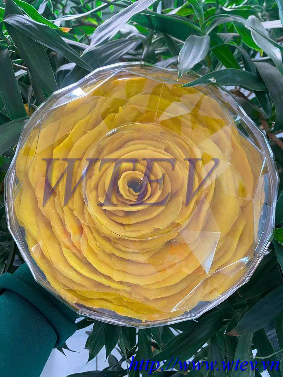 [Soft-dried] Mango