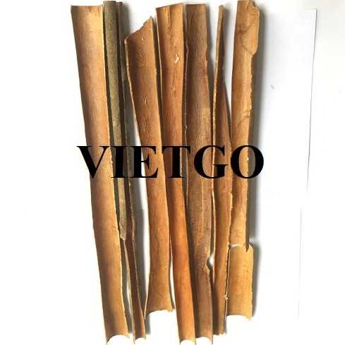 Cơ hội xuất khẩu quế chẻ sang thị trường Ấn Độ