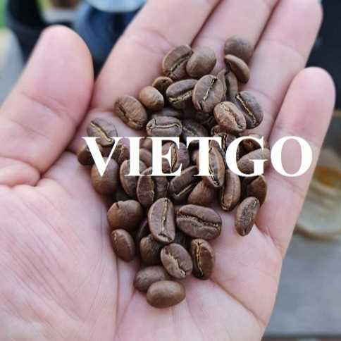 Cơ hội xuất khẩu hạt cà phê Arabica sang thị trường Nepal