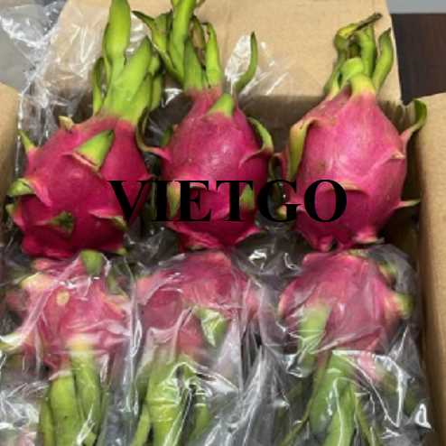 Cơ hội xuất khẩu thanh long ruột đỏ và thanh long ruột trắng sang thị trường Oman