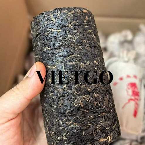 Cơ hội xuất khẩu chè đen sang Ai Cập