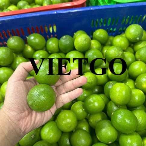 Cơ hội xuất khẩu chanh đến thị trường UAE
