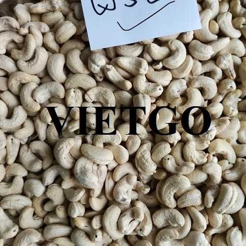 Cơ hội xuất khẩu hạt điều nhân trắng w320 sang thị trường Bangladesh