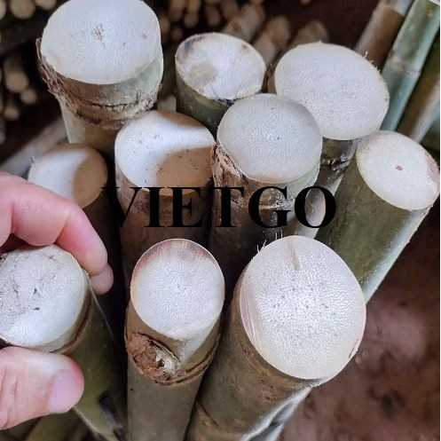 Cơ hội xuất khẩu gậy tre sang thị trường Ấn Độ