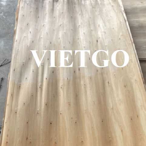 Thương vụ xuất khẩu sản phẩm ván bóc đến thị trường Ấn Độ