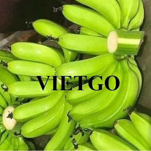 Cơ hội hợp tác xuất khẩu chuối đến thị trường Iran