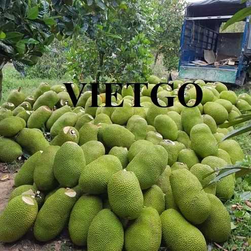 Cơ hội xuất khẩu mít sang thị trường Thổ Nhĩ Kỳ