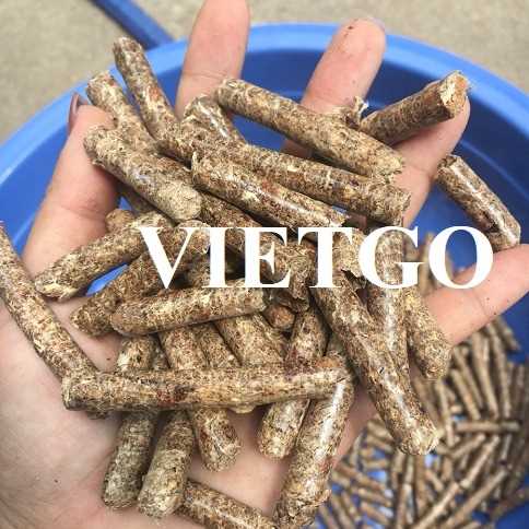 Thương vụ xuất khẩu viên nén mùn cưa đến từ doanh nghiệp Brazil