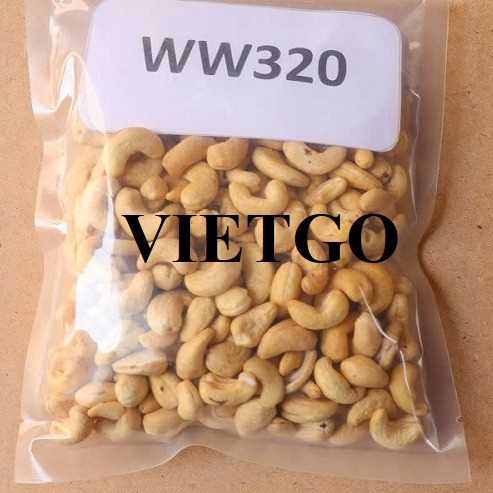 Thương vụ hợp tác xuất khẩu hạt điều nhân trắng w320 sang thị trường Kuwait