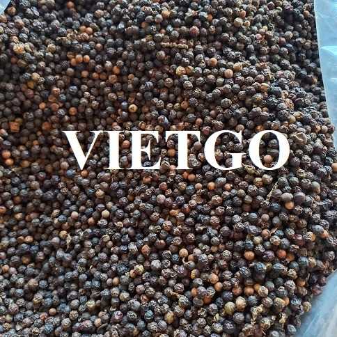 Cơ hội hợp tác xuất khẩu hạt tiêu đến thị trường Jordan