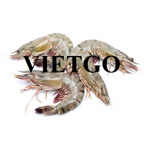 Cơ hội xuất khẩu tôm sú sang thị trường Trung Quốc
