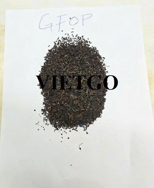 Cần mua sản phẩm chè GFOP sang thị trường Paskitan