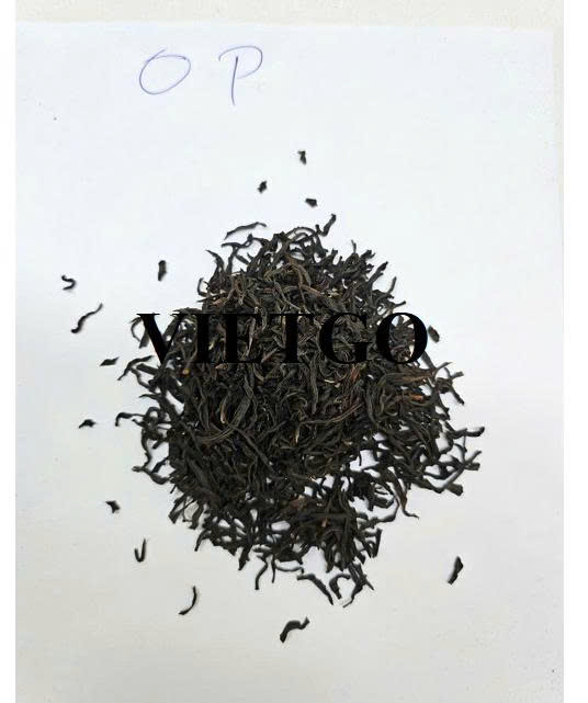Cần mua sản phẩm chè OP sang thị trường Ai Cập