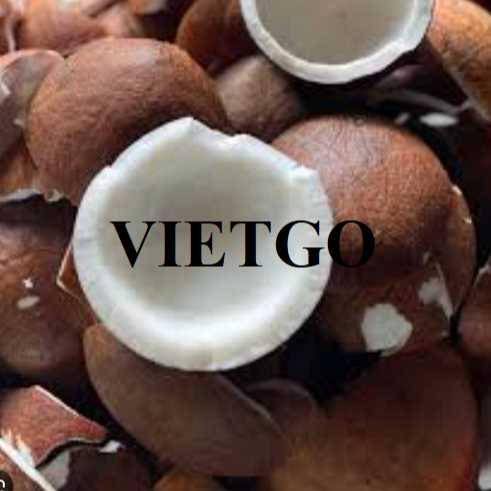 Thương vụ xuất khẩu cùi dừa đến từ doanh nghiệp Ấn Độ