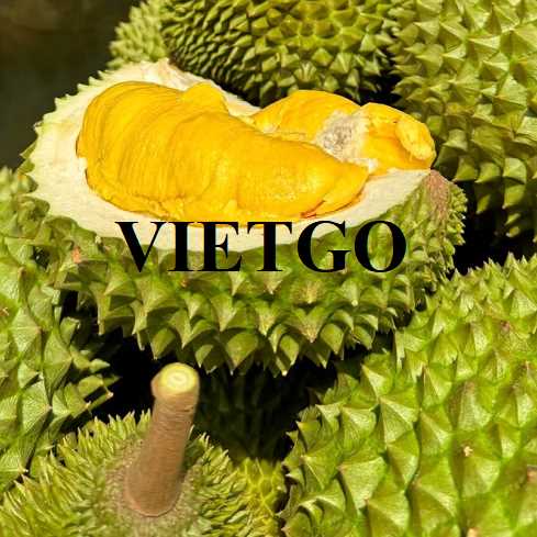 Cơ hội xuất khẩu sầu riêng sang thị trường Thổ Nhĩ Kỳ