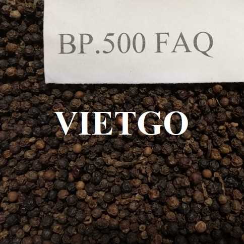 Cơ hội xuất khẩu hạt tiêu đen sang thị trường Ai Cập