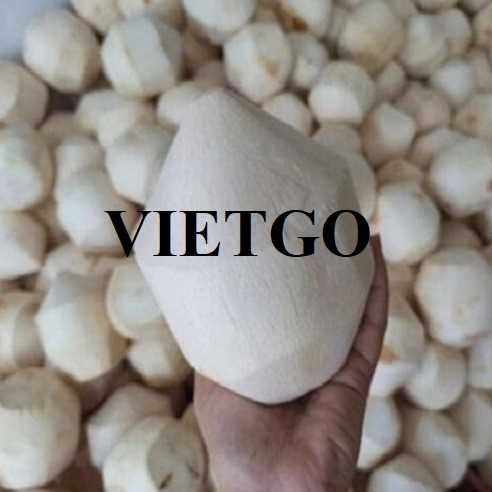Cơ hội hợp tác xuất khẩu dừa tươi sang thị trường UAE