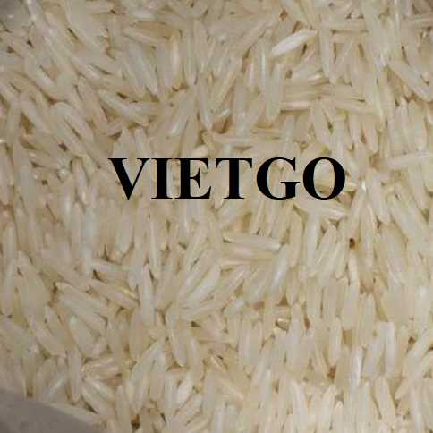 Cơ hội xuất khẩu gạo đồ sang thị trường Nga