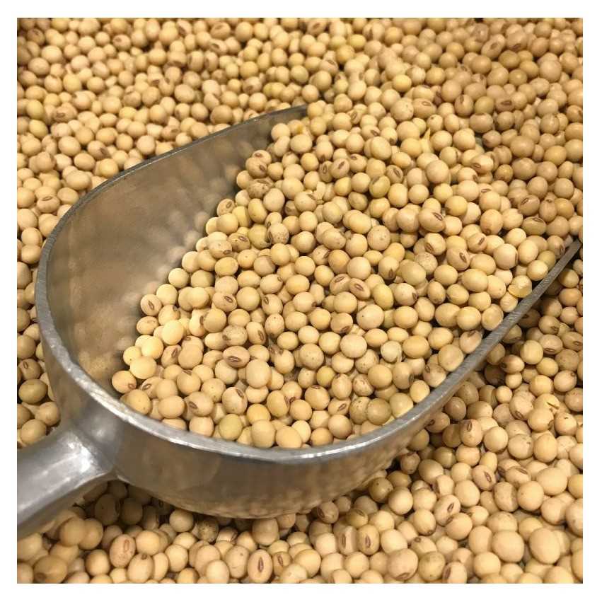 I want to buy soybean